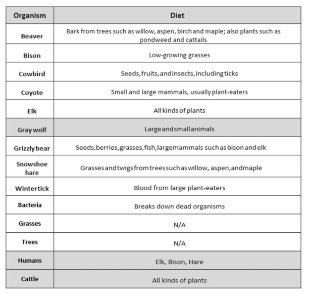 Yellowstone Major Organism Facts Worksheet Answers
